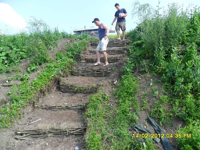 Green Paradise 28 - 30 iun. - sam0741.JPG